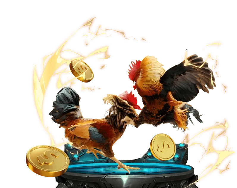 Phạm vi áp dụng toàn cầu của GDPR và cam kết của 8kbet8